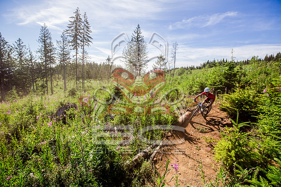 06_28_15_BCBR_01_0105