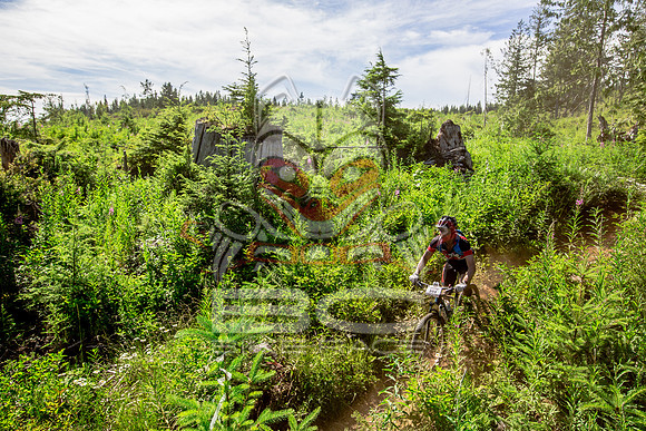 06_28_15_BCBR_01_0350