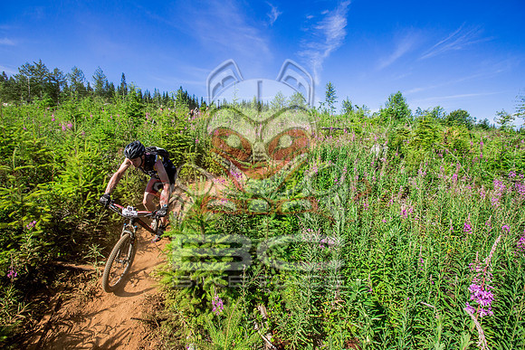 06_28_15_BCBR_01_0238