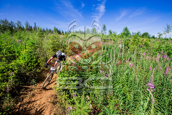 06_28_15_BCBR_01_0229