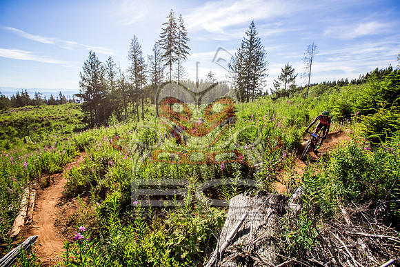 06_28_15_BCBR_01_0035
