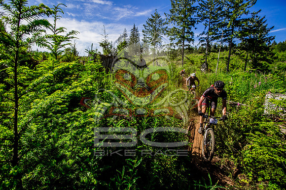 06_28_15_BCBR_01_0268