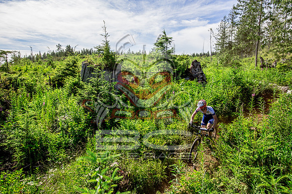 06_28_15_BCBR_01_0353