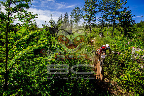 06_28_15_BCBR_01_0271