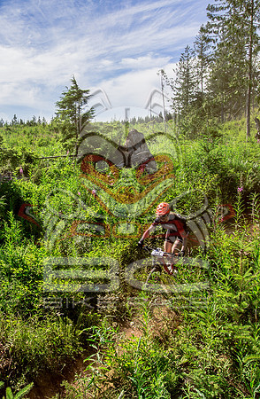 06_28_15_BCBR_01_0346