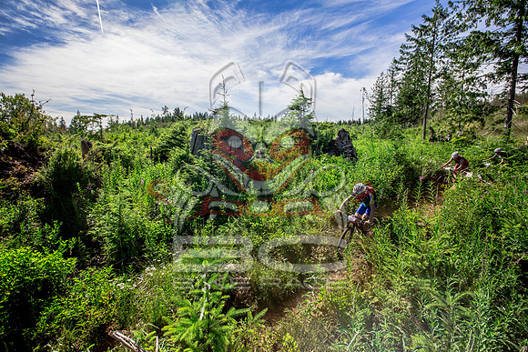 06_28_15_BCBR_01_0380