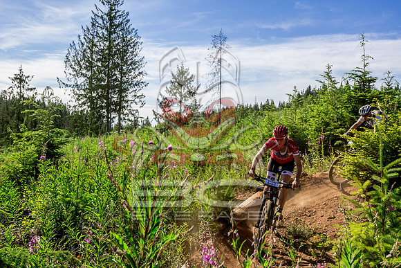 06_28_15_BCBR_01_0163