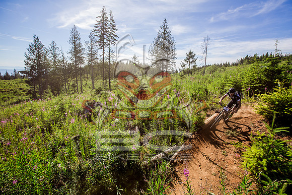 06_28_15_BCBR_01_0096