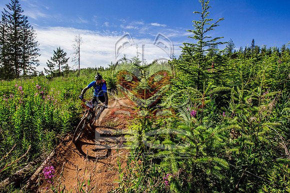 06_28_15_BCBR_01_0243
