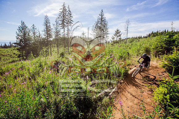 06_28_15_BCBR_01_0101