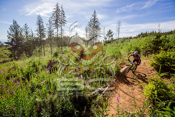 06_28_15_BCBR_01_0104