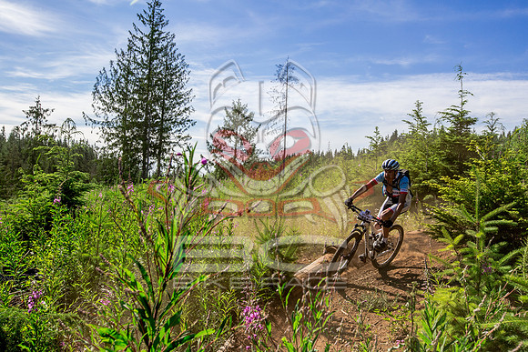 06_28_15_BCBR_01_0150