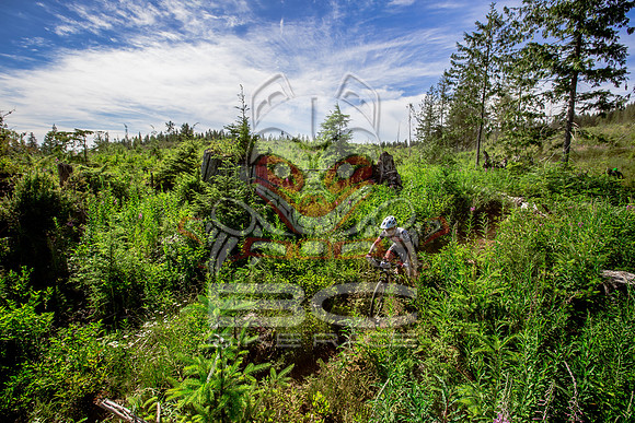 06_28_15_BCBR_01_0355