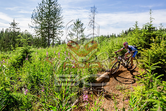 06_28_15_BCBR_01_0120
