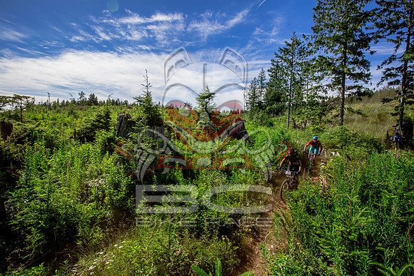 06_28_15_BCBR_01_0314