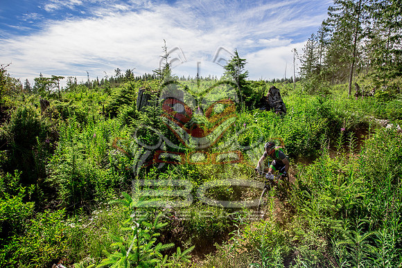 06_28_15_BCBR_01_0354