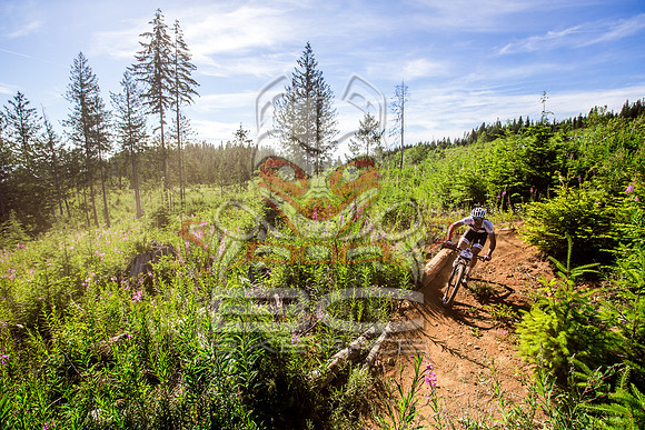 06_28_15_BCBR_01_0048