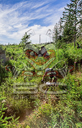 06_28_15_BCBR_01_0382