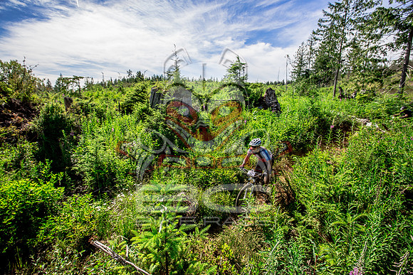 06_28_15_BCBR_01_0378