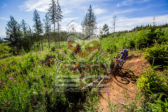 06_28_15_BCBR_01_0094
