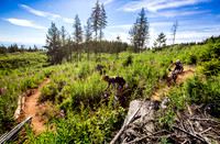 06_28_15_BCBR_01_0016-2