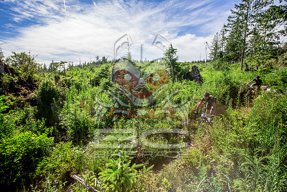 06_28_15_BCBR_01_0376