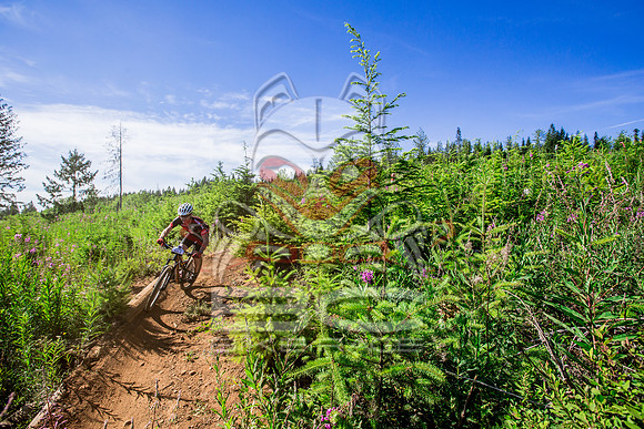 06_28_15_BCBR_01_0245