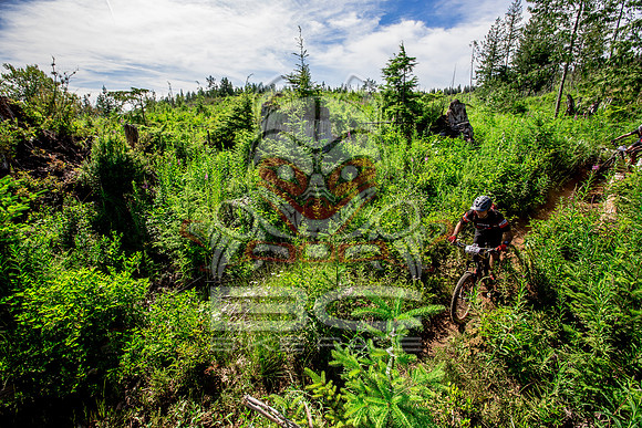 06_28_15_BCBR_01_0385