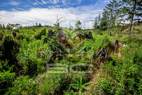 06_28_15_BCBR_01_0309