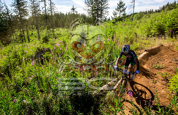 06_28_15_BCBR_01_0074