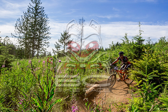 06_28_15_BCBR_01_0166