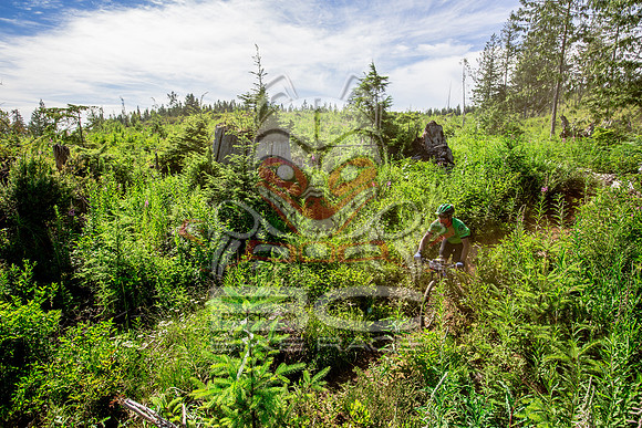 06_28_15_BCBR_01_0347
