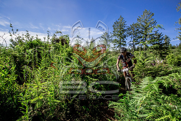 06_28_15_BCBR_01_0247