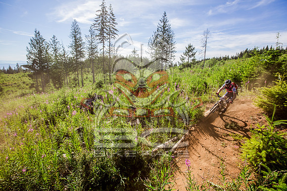 06_28_15_BCBR_01_0098