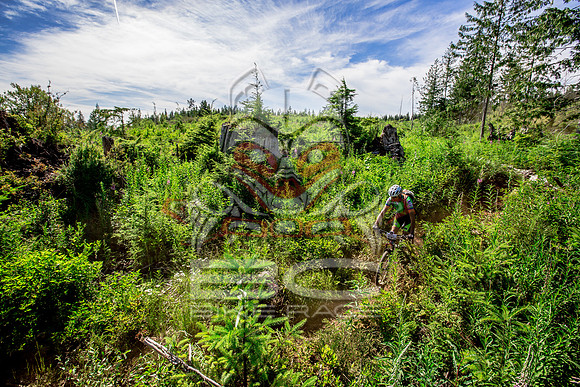 06_28_15_BCBR_01_0383
