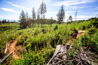 06_28_15_BCBR_01_0014-2