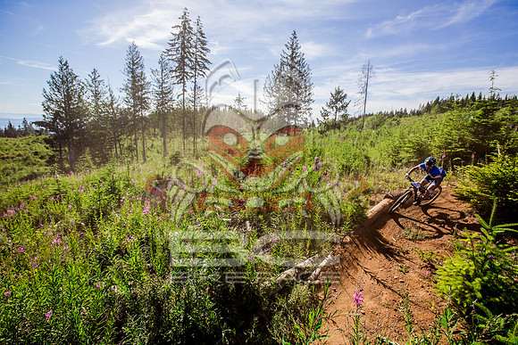 06_28_15_BCBR_01_0099
