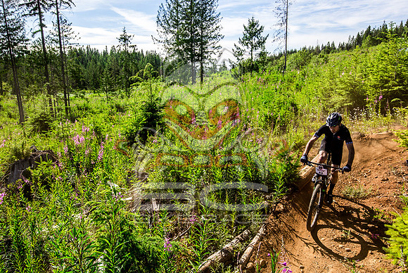 06_28_15_BCBR_01_0070