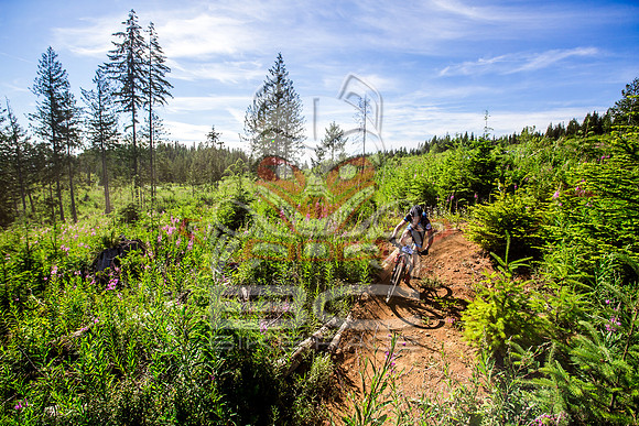 06_28_15_BCBR_01_0050