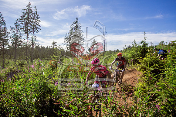 06_28_15_BCBR_01_0157