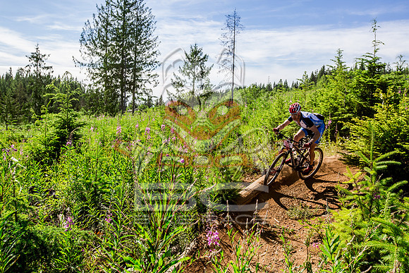 06_28_15_BCBR_01_0121