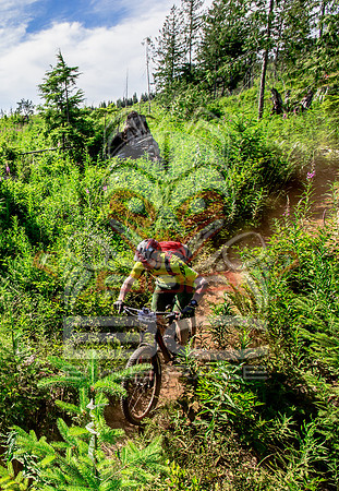 06_28_15_BCBR_01_0388