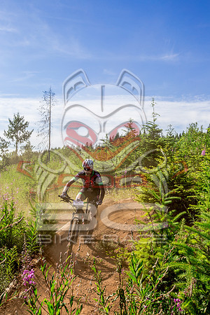 06_28_15_BCBR_01_0177