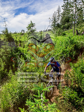 06_28_15_BCBR_01_0404