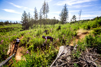 06_28_15_BCBR_01_0019-2