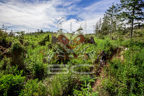 06_28_15_BCBR_01_0410