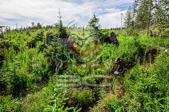 06_28_15_BCBR_01_0352