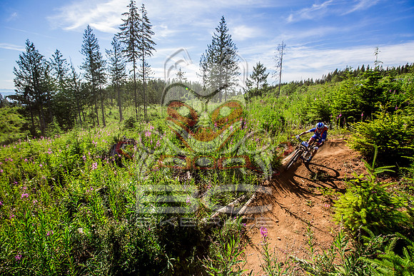 06_28_15_BCBR_01_0093