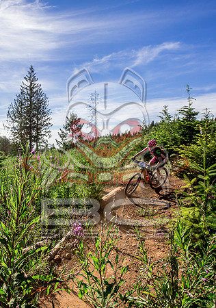 06_28_15_BCBR_01_0109