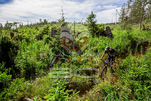 06_28_15_BCBR_01_0351